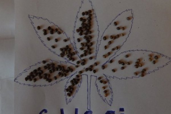 Какая сейчас ссылка на кракен